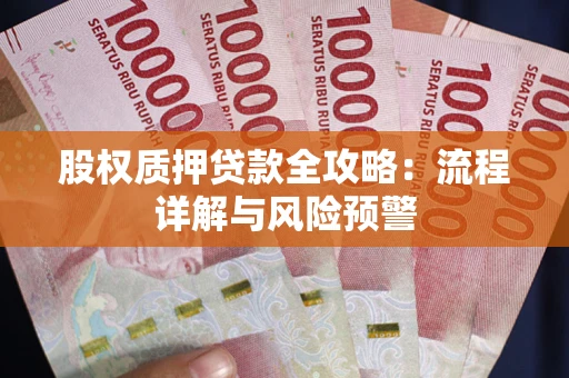 北京股权质押贷款全攻略：流程详解与风险预警