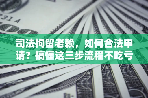 北京司法拘留老赖，如何合法申请？搞懂这三步流程不吃亏！