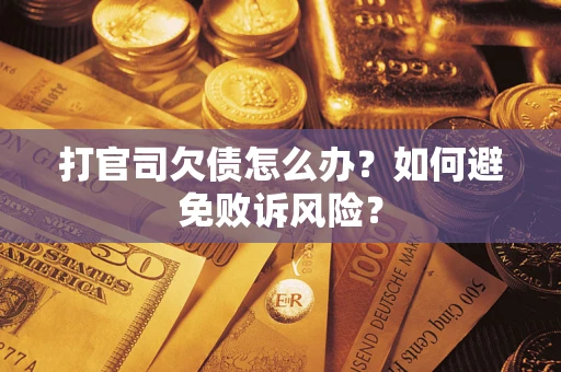 北京打官司欠债怎么办？如何避免败诉风险？