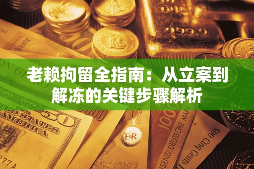 北京老赖拘留全指南：从立案到解冻的关键步骤解析