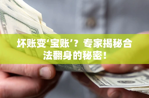 北京坏账变‘宝账’？专家揭秘合法翻身的秘密！