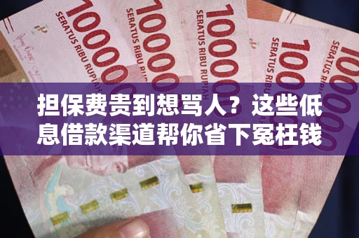 北京担保费贵到想骂人？这些低息借款渠道帮你省下冤枉钱