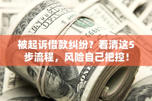 北京被起诉借款纠纷？看清这5步流程，风险自己把控！