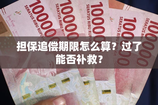 北京担保追偿期限怎么算？过了能否补救？